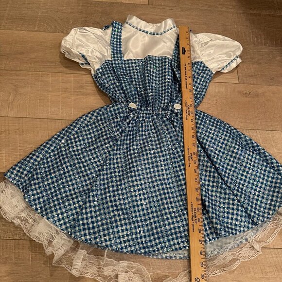 CUSTOM MADE YOUTH GIRL WIZARD OF OZ DOROTHY DANCE COSTUME COMPETITION SIZE 8 - Picture 3 of 9